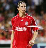 fernando torres